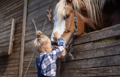 preteen kid palming big horse at farm